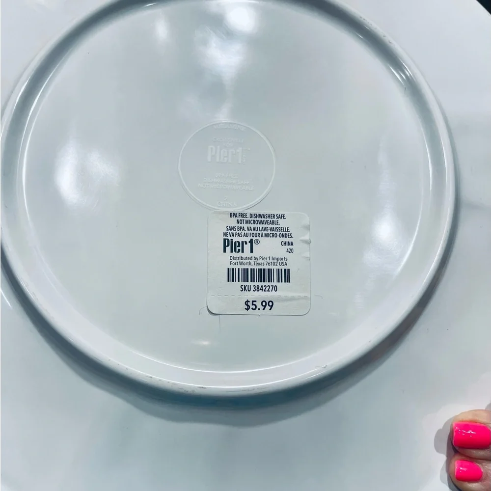 Pier 1 Pale Blue Scalloped Melamine Dinner Plates 10.5” - Set of 4